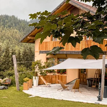 Guest house Smogavc 3*