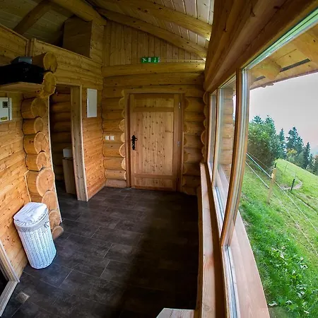 Guest house Smogavc 3*