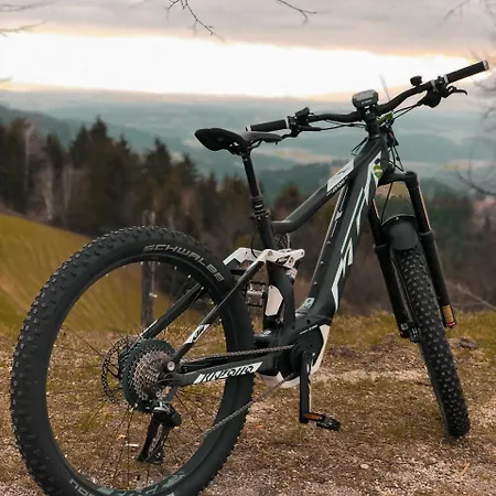 Guest house Smogavc 3*