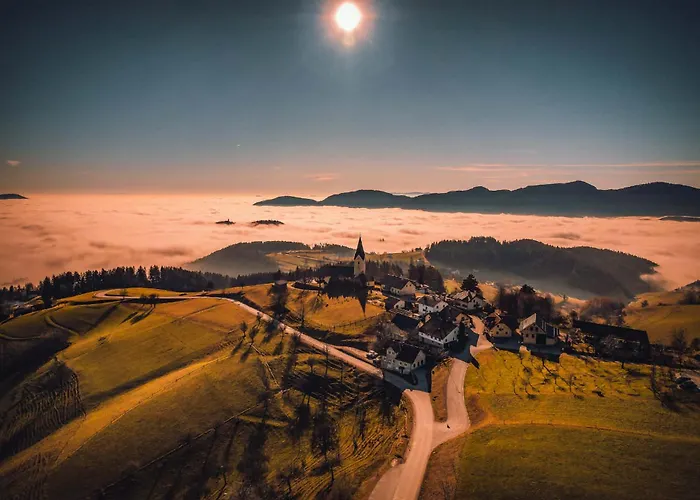 Smogavc Hiša za goste 3*